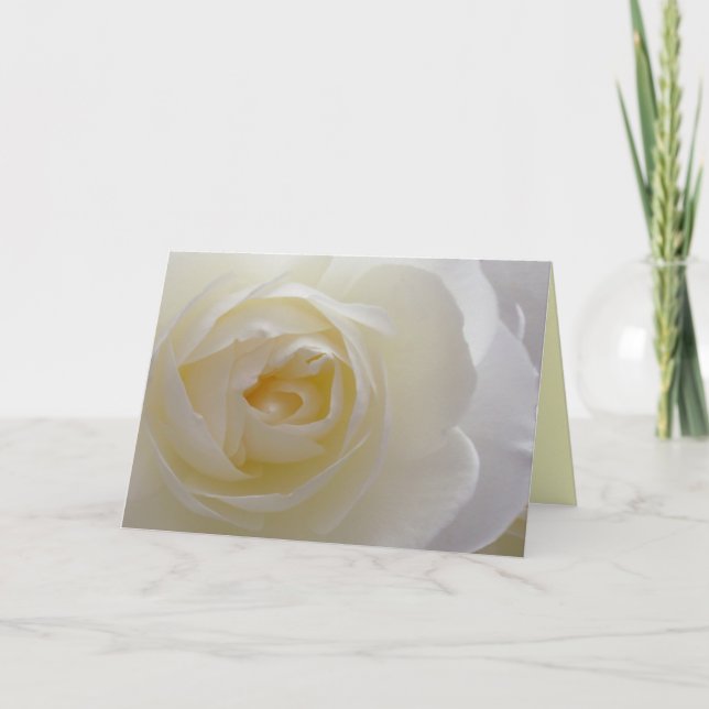 White Flowers Card Rose Flower Greeting Card Blank (Front)