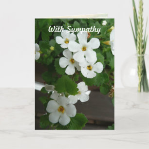 White Flowers Custom Sympathy Card Template