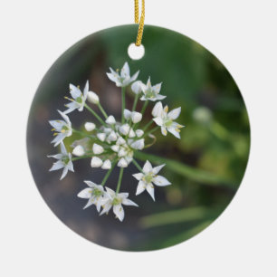 White Flowers Delicate Floral Blossom Nature Photo Ceramic Ornament