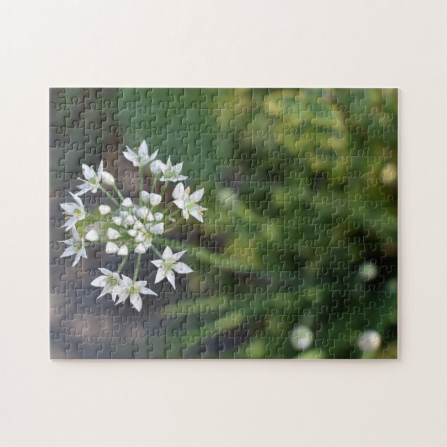 White Flowers Delicate Floral Blossom Nature Photo Jigsaw Puzzle (Horizontal)