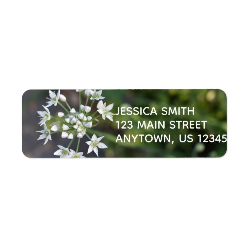 White Flowers Delicate Floral Blossom Nature Photo Label