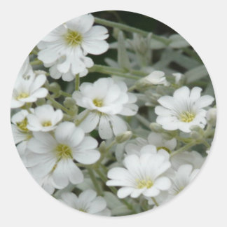 White Flowers From Garden Classic Round Sticker