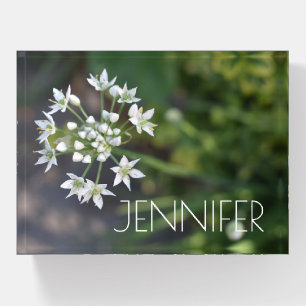 White Flowers Garden Nature Photography Floral Paperweight