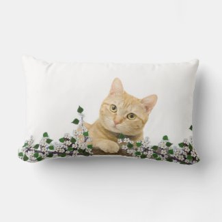 White Flowers & Ginger Tabby Cat on White