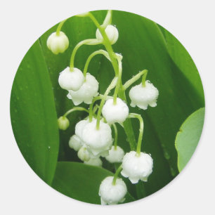 White Flowers Lily-of-the-Valley Sticker