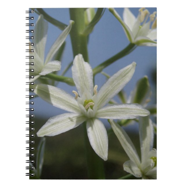 White Flowers Notebook (Front)
