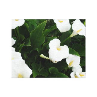 White Flowers Photo Print