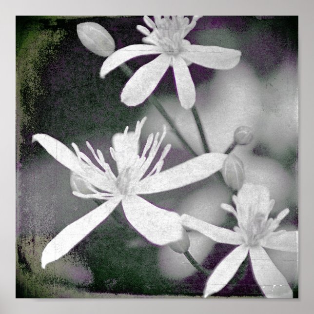 White Flowers Poster (Front)