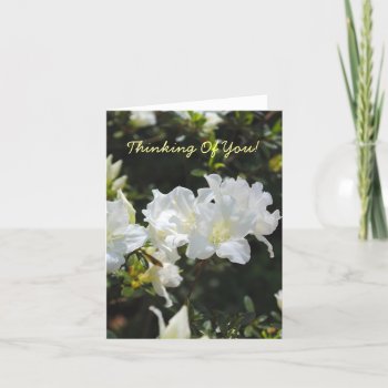 White Flowers Thinking Of You Card by AllyJCat at Zazzle