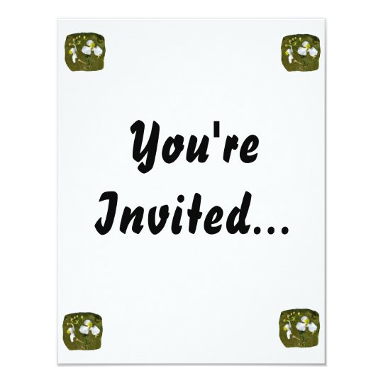 White flowers yellow center round buds card
