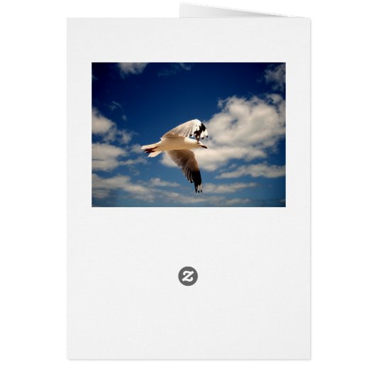 White Flying Sea Gull, (Back)