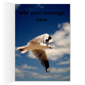 White Flying Sea Gull, (Inside (Right))