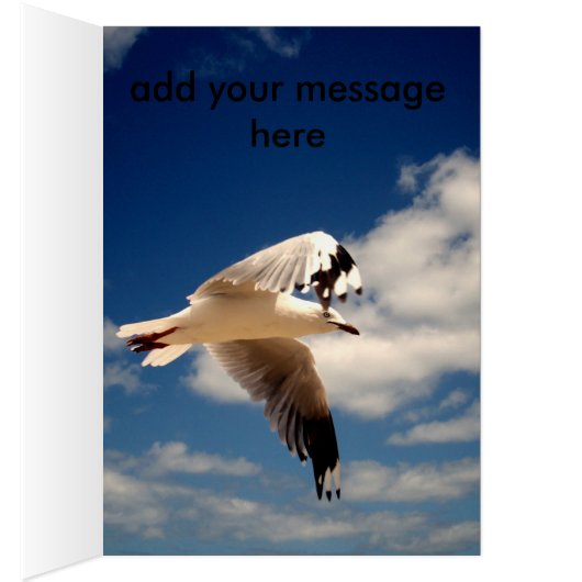 White Flying Sea Gull, (Inside (Right))