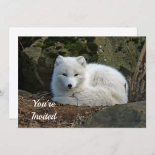 White Fox Photo Birthday Invitation