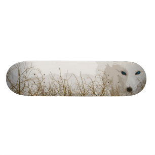 White Fox Skateboard Deck