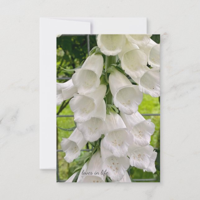White Foxglove Note Card (Front)