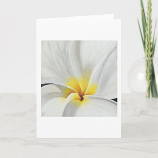 White Frangipani  Art Card