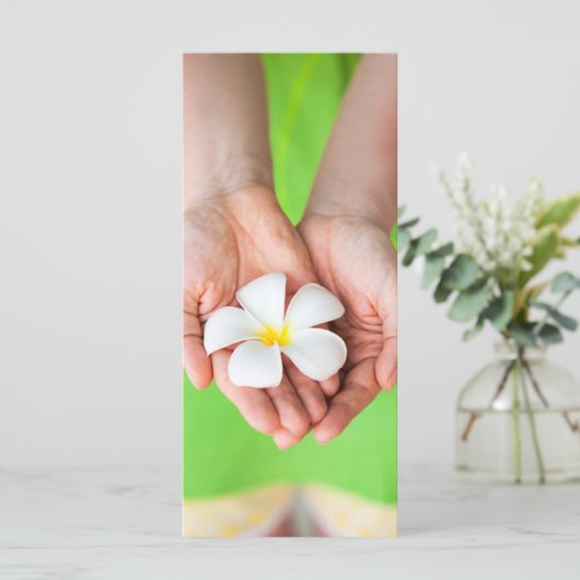 White frangipani flowers (Standing Front)