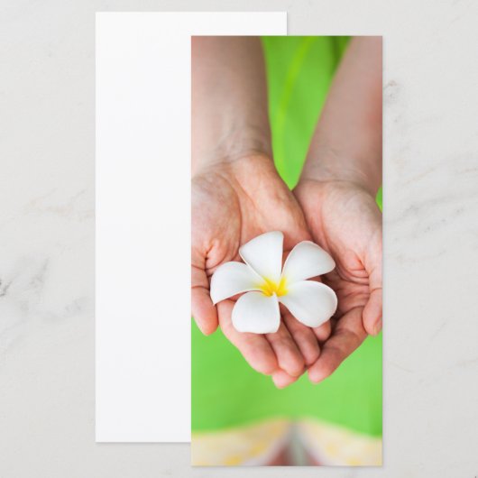 White frangipani flowers (Front/Back)