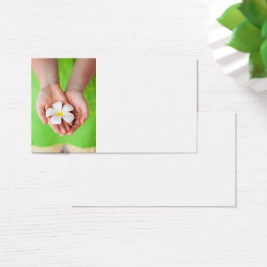 White frangipani flowers (Desk)