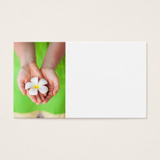 White frangipani flowers (Front)