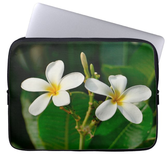 White Frangipani Laptop Sleeve (Front)