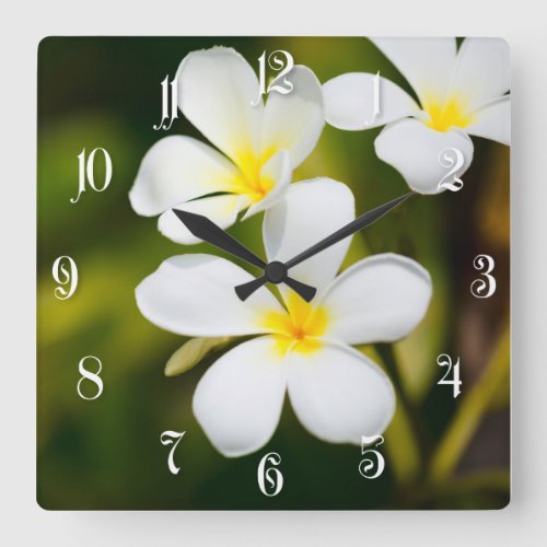 White frangipani tropical flowers square wall clock