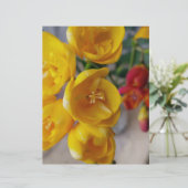white freesia (Standing Front)