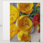 white freesia (Front/Back)