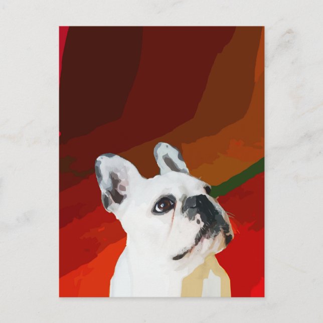 White French Bulldog Postcard (Front)