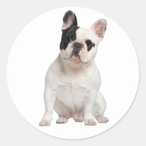 White French Bulldog Puppy Dog Black Eye Classic Round Sticker
