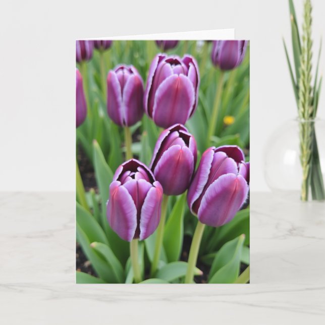 White Fringed Mothers Day Card (Front)