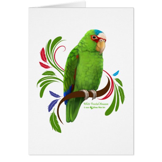 White Fronted Amazon Cards (Front)