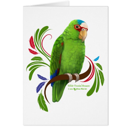 White Fronted Amazon Cards (Front)