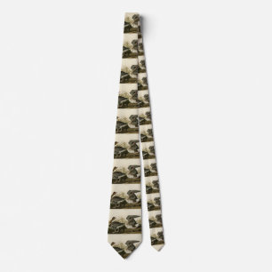 White-fronted Goose from Audubon Birds of America Neck Tie