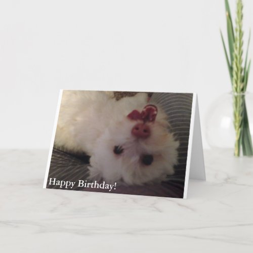 White Funny Puppy Happy Birthday card