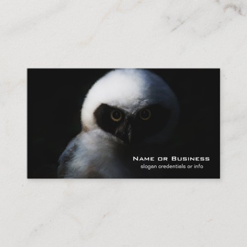 White Fuzzy Owl with Piercing Gaze Business Card