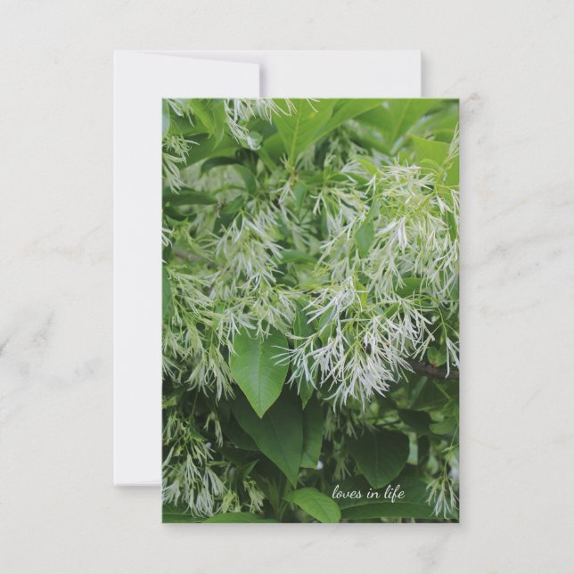 White Garden Flowers Note Card (Front)