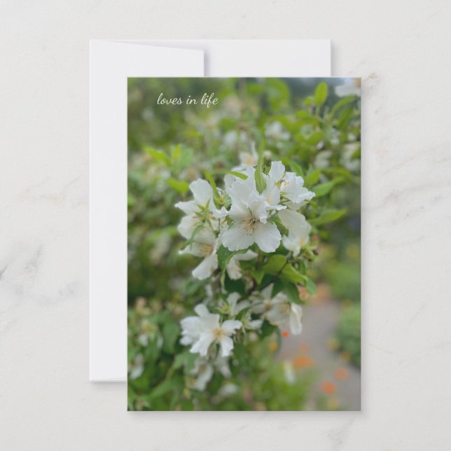 White Garden Flowers Note Card (Front)
