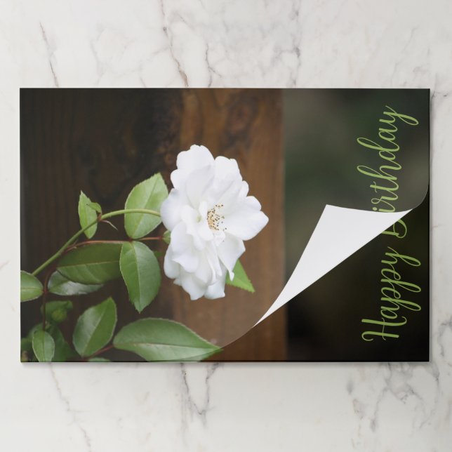 White Garden Rose Paper Placemats (Folded)
