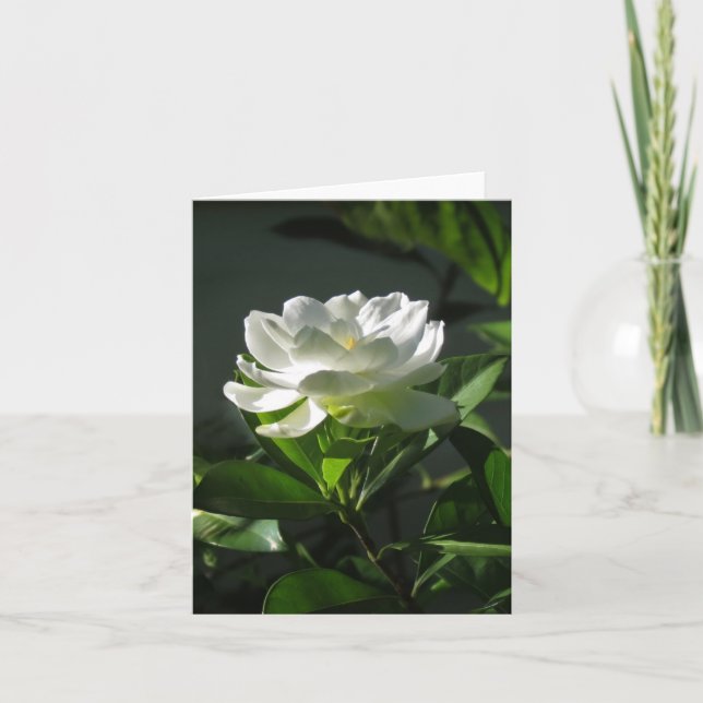 White Gardenia Blossom Note Card (Front)