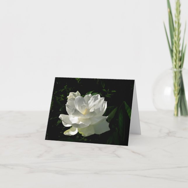 White Gardenia Blossom Note Card (Front)