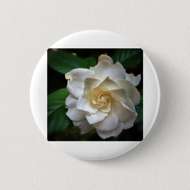 White Gardenia Button (Front)