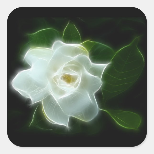 White Gardenia Flower Plant Square Sticker (Front)
