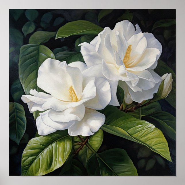 White Gardenia Flowers Art Print Poster (Front)