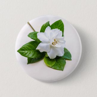 White Gardenia Flowers Button