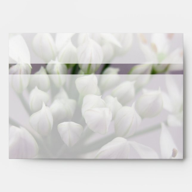 White Garlic Chive Blossoms on Purple Envelope (Front)