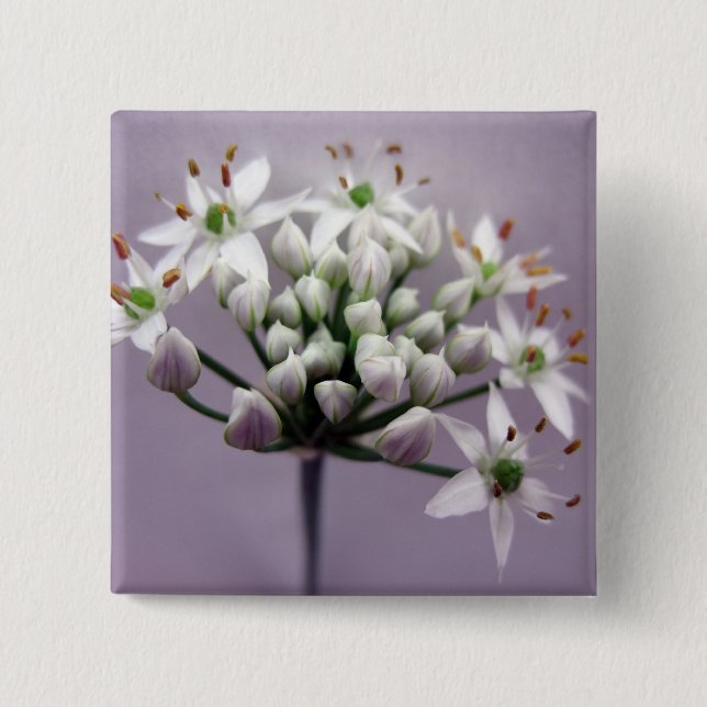 White Garlic Chive Blossoms on Purple Pinback Button (Front)