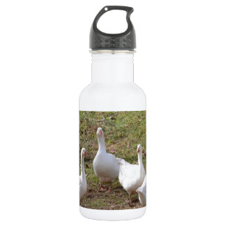 White Geese Stainless Steel Water Bottle