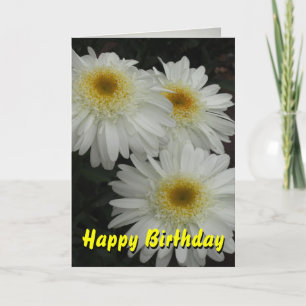 White Gerber Daisy Happy Birthday Card
